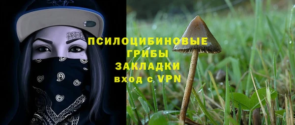 прущая мука Мегион