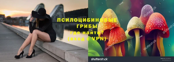 прущая мука Мегион