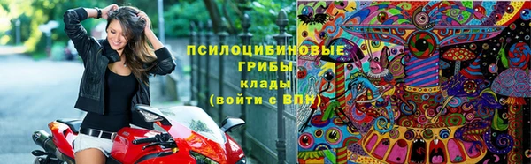 прущие крисы Медвежьегорск