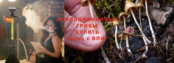 прущая мука Мегион