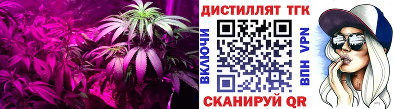 ТГК концентрат  Циолковский 