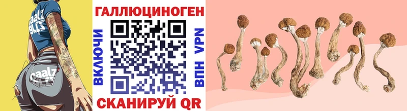 Псилоцибиновые грибы ЛСД Циолковский