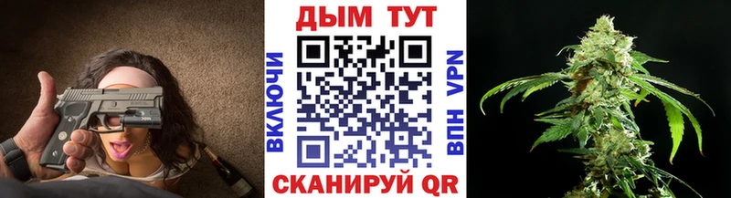 где продают наркотики  Циолковский  Каннабис семена 